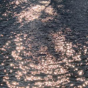 学生露出🐻让老师玩作文
