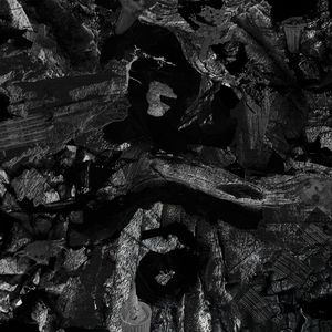 学生露出🐻让老师玩作文
